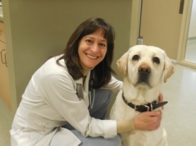 Miller veterinary clinic cheap