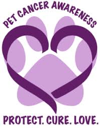Cancer in our pets