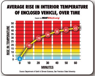 Heat Stress Image