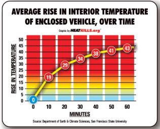 Heat Stress Image