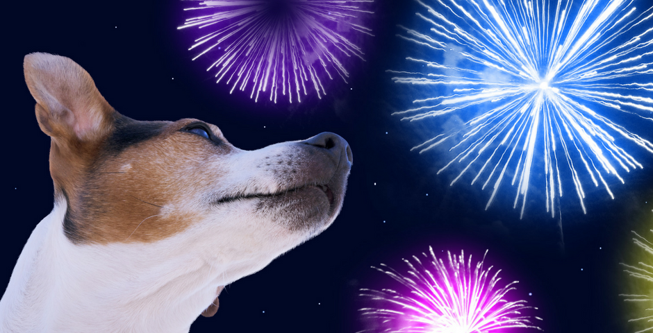 Pet Fireworks Fear