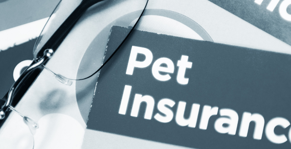 Health Insurance For Your Pet
