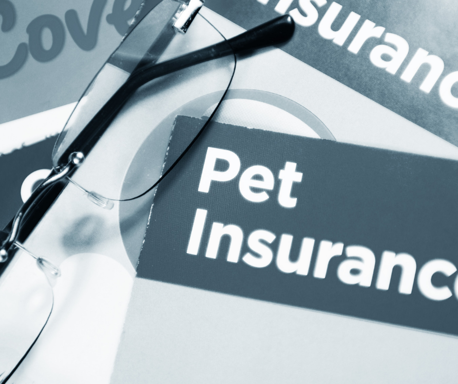 Health Insurance For Your Pet
