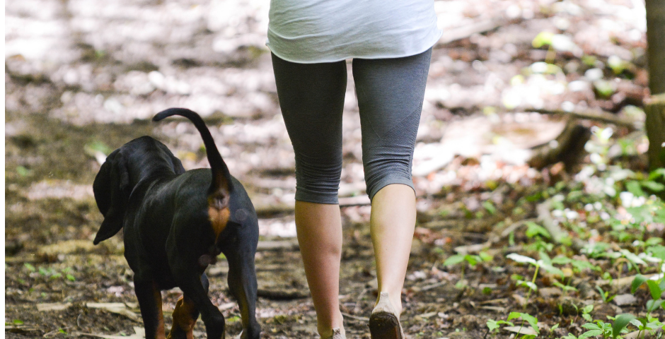 Exercise with your pet