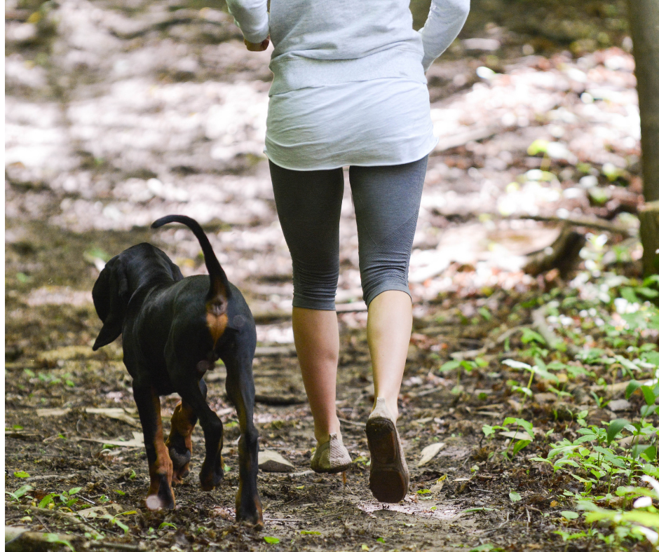 Exercise with your pet