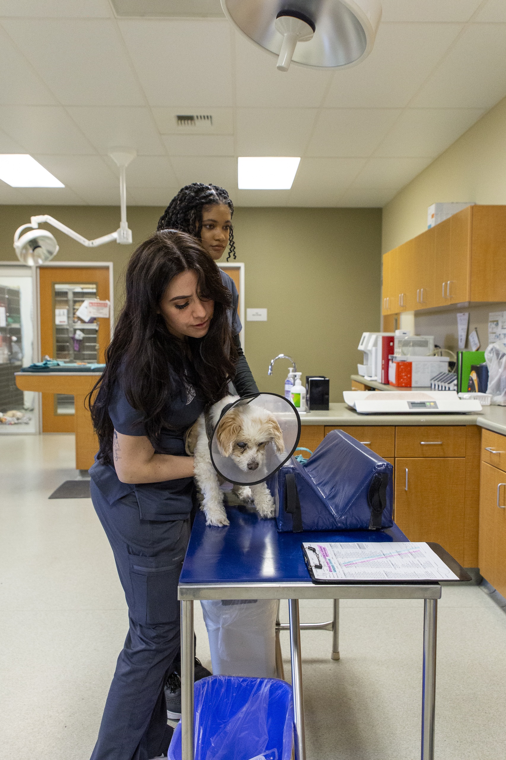 Working at Muller Veterinary Hospital